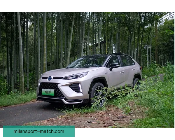 库里推迟5v5训练复查健康状况 回归赛程存不确定性